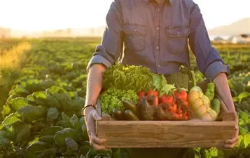 Ley federal de irrigación