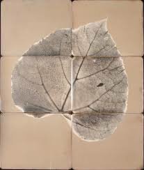 Daguerrotipo en Papel XIX