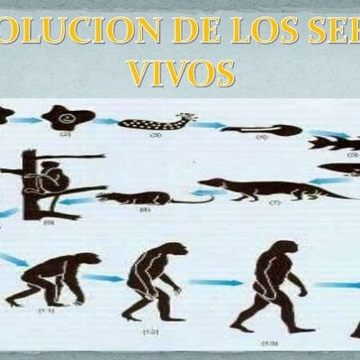 Timeline: Evolución de los seres vivos