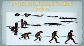 Timeline: Evolución de los seres vivos