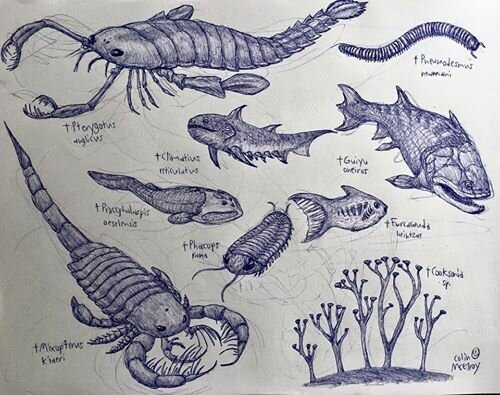Silurian Animals