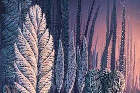 Cambrian Plants