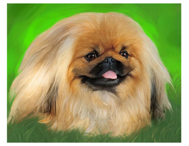 Mrs. Douglas Murray appears with the perfect breed standard Pekes.