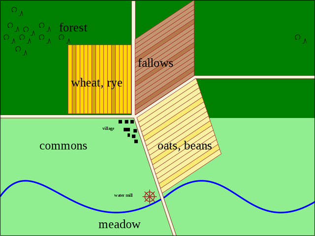 Three-field crop rotation