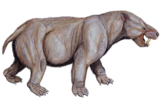 Paleogene Period Animal