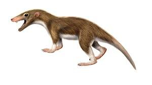 Triassic Period Plant