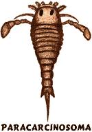 Silurian Period Plant