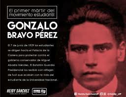 Muerte de Gonzalo Bravo Pérez