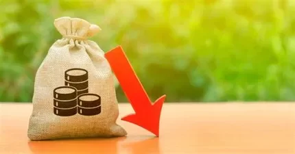 Reducción del presupuesto