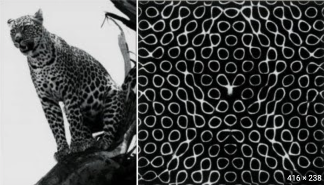 The Chemical Basis of Morphogenesis