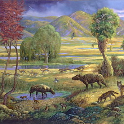 Timeline: Los principales acontecimientos que han tenido lugar en la evolución de los seres vivos