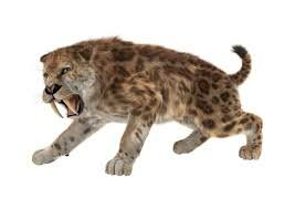 paleogene period animal