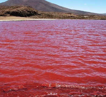 LA HISTORIA DE MOISÉS lll