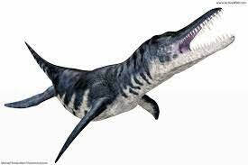 Jurassic period animal