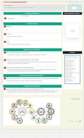 Perfil de la idea de negocio
