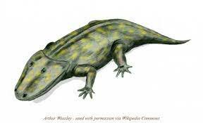 permian period animals