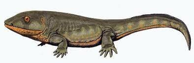carboniferous period animals
