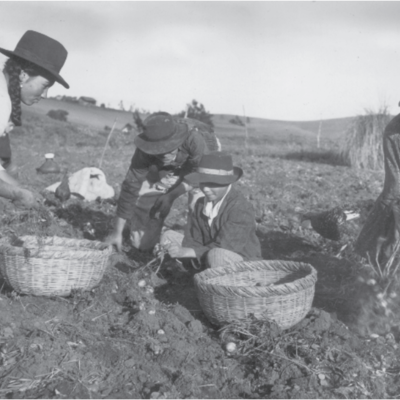 Timeline: Emergencia y Desarrollo del Trabajo Social de Grupo: Una Aproximación Histórica