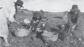 Timeline: Emergencia y Desarrollo del Trabajo Social de Grupo: Una Aproximación Histórica