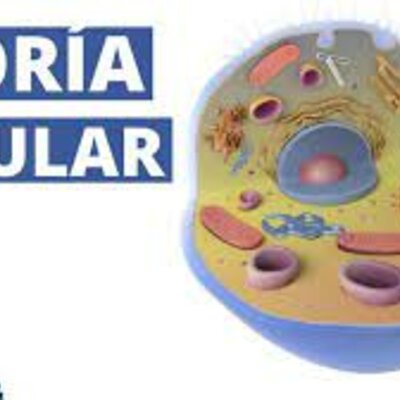 Timeline: TERORÍA CELULAR