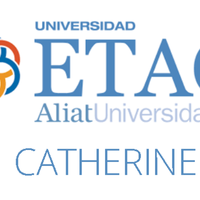 Timeline: Proceso de aprendizaje (Catherine)