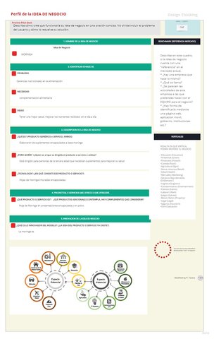 Perfil de la IDEA DE NEGOCIO