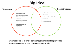 EL GRAN IDEAL