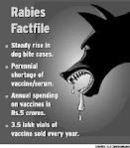 Vaccine for rabies by Louis PasteurKoch discovers the TB bacillus