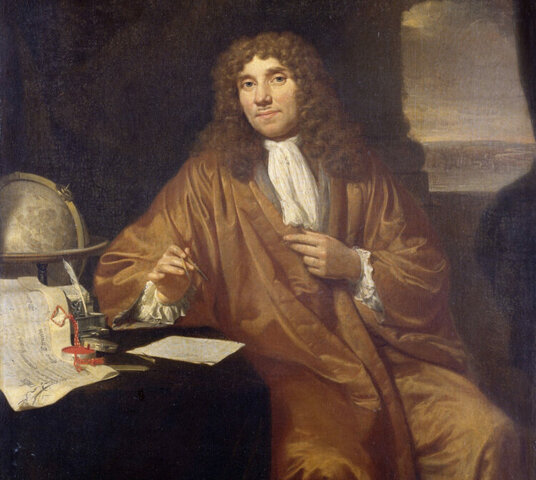 Морфологический этап