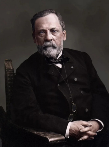 Физиологический этап