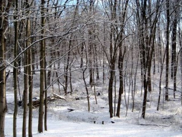 Griffin meets up with Cheyenne