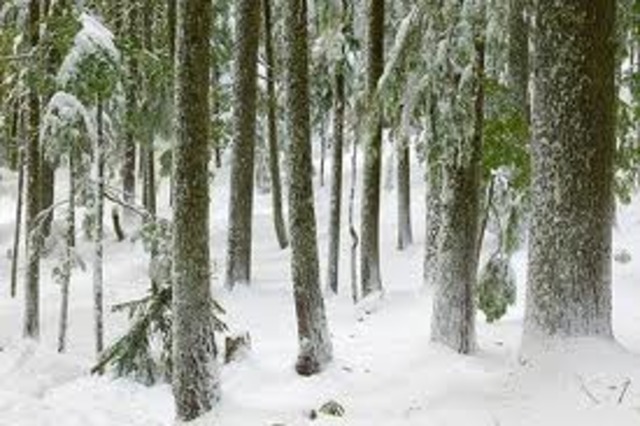 Griffin Catches up with her