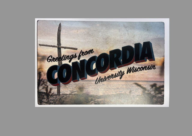 Life Coaches Introduced