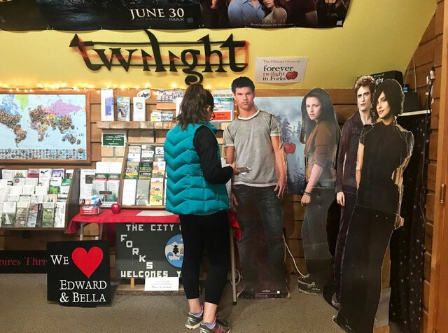 My interest in the Twilight saga book