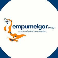 METAS A NIVEL PROFESIONAL A MEDIANO PLAZO