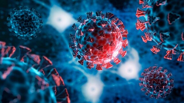 Pandemia mundial, COVID19