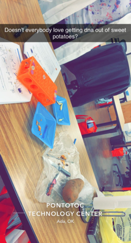 Last Days of Junior Year