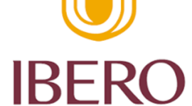 Timeline: EVOLUCIÓN DE LA WEB