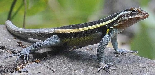 Vacaciones a Huatulco