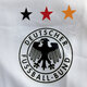 Dfb logo with star