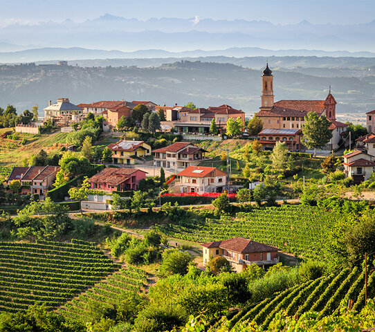 Vojna Avstrije, Piemonta (ter Francije)
