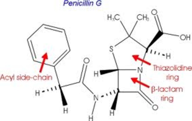 penicillin