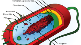 Timeline: Le scoperte scientifiche