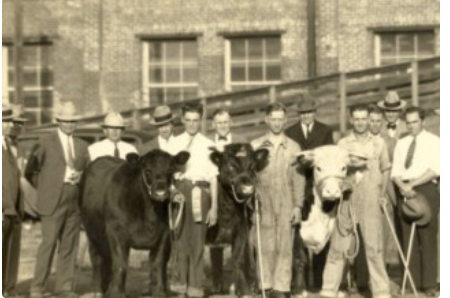 The First National Livestock Judging Contest.