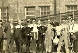 National Livestock Judging
