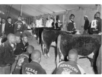 New Farmers of America