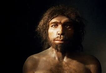 hace 1.200.000 años