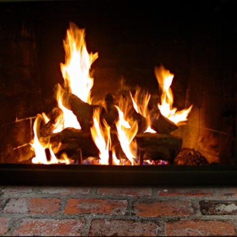 Roy threw Cheyenne's walking stick into the fire.