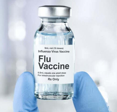 Vaccines against the flu