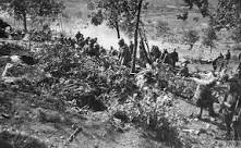 The First Battle of Isonzo